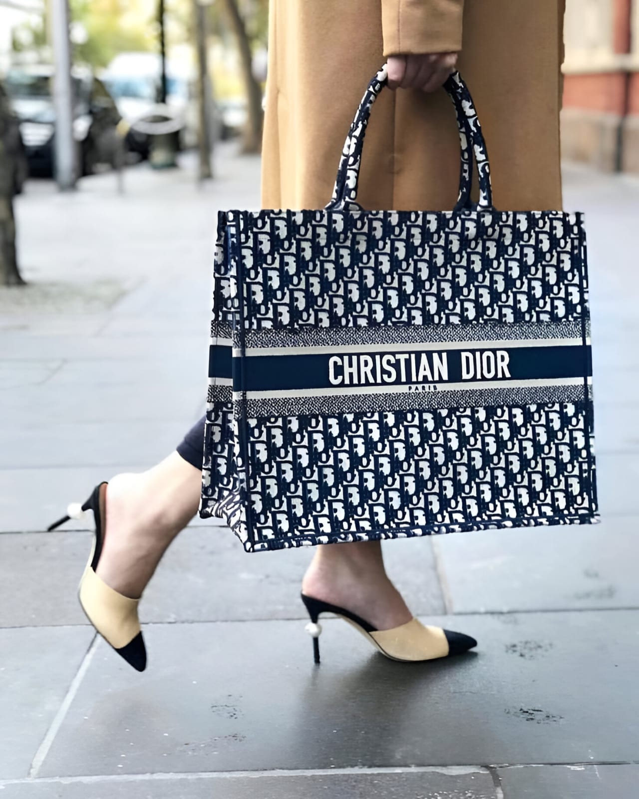 Christian Dior Book Tote